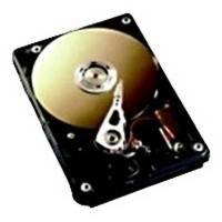 Жесткий диск 600Gb SAS Fujitsu (FTS:ETFDB6-L)